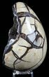 Septarian Dragon Egg Geode - Black Crystals #57436-2